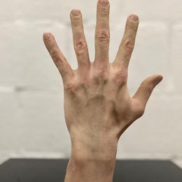 HOME_Wat we doen_Voorbeeld_Categorie Props